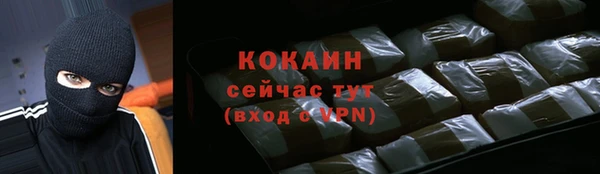 ALPHA PVP Няндома