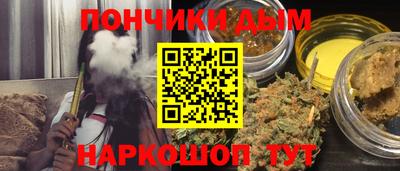 крисы Гагарин