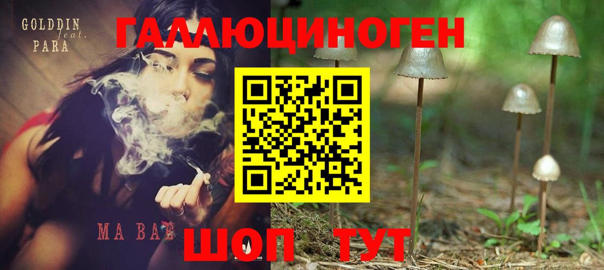ГАШ Алексин