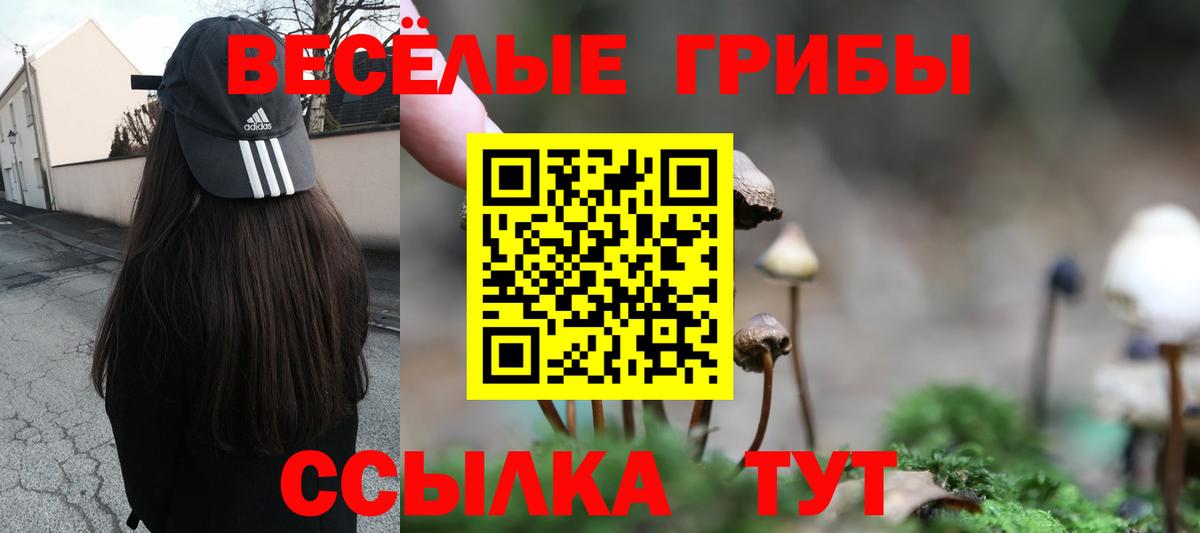 Псилоцибиновые грибы ЛСД  Алексин 