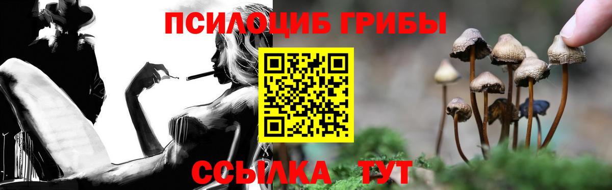 Алексин  Псилоцибиновые грибы Psilocybe  Вход с VPN 
